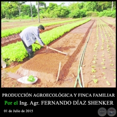 PRODUCCIN AGROECOLGICA Y FINCA FAMILIAR - Ing. Agr. FERNANDO DAZ SHENKER - 01 de Julio de 2015